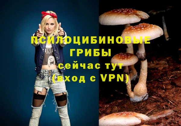 spice Абаза