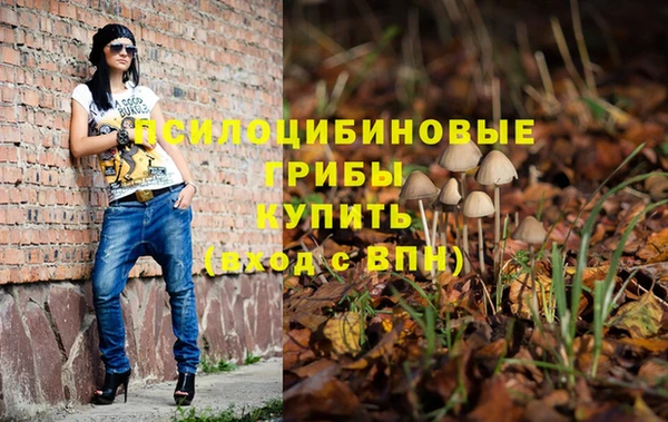 spice Абаза