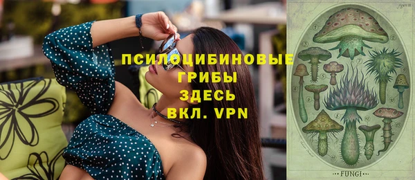 spice Абаза