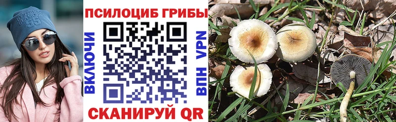 omg как зайти  Елизаветинская  Галлюциногенные грибы MAGIC MUSHROOMS 